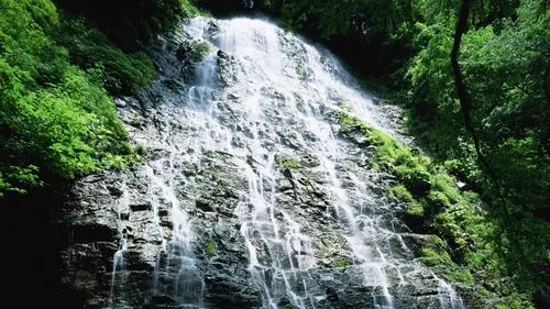 高端先进科技